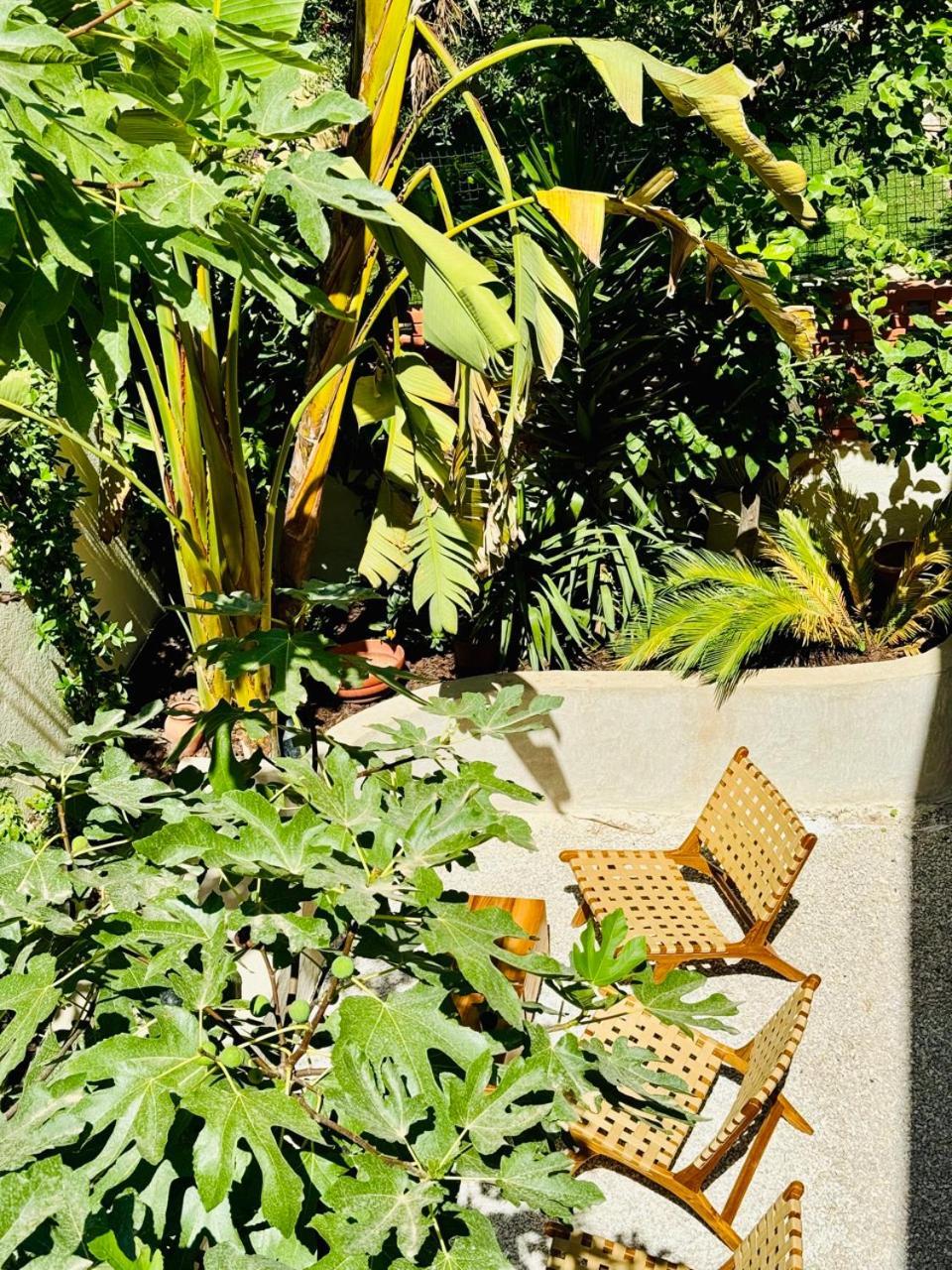 Maison Lyo Suite Luxe Cannes Extérieur photo